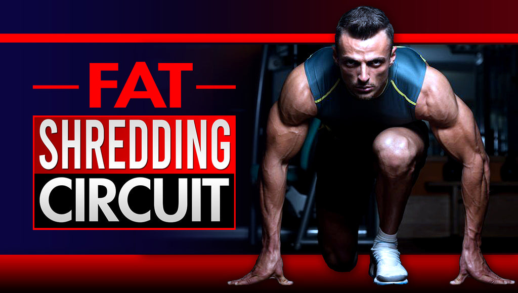 Fat Shredding Plyometric Cardio Circuit For Beginners