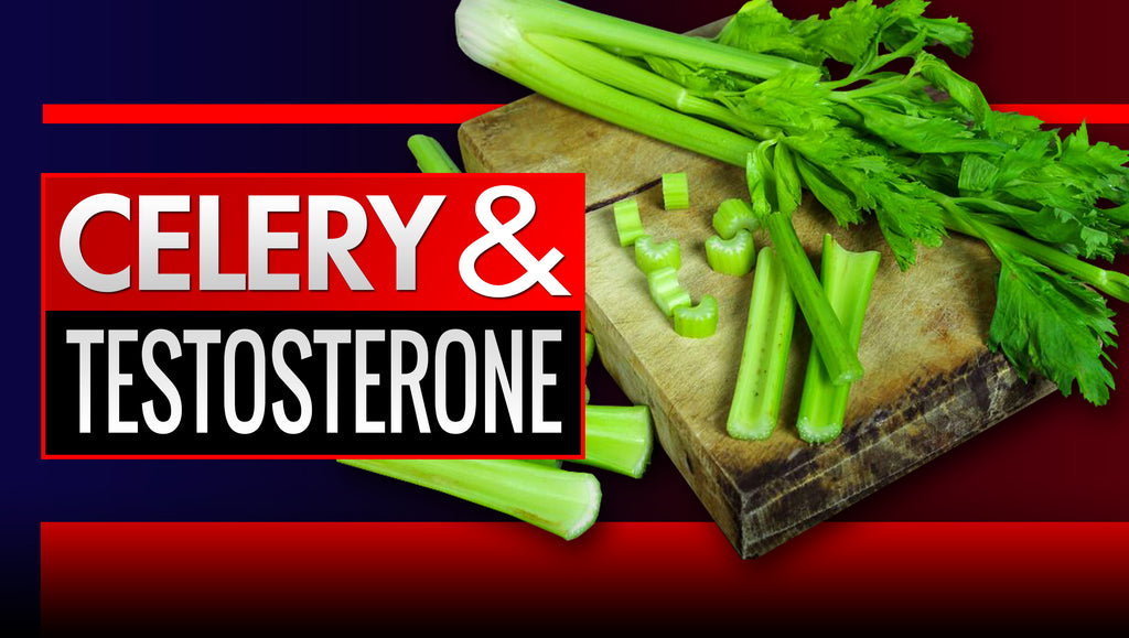 The Celery Testosterone Connection – Is It Real?