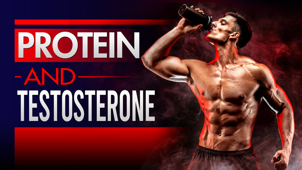 The Truth About Protein And Testosterone